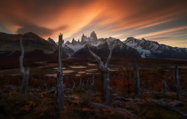 Autumn, trees, sunset, mountains, Andes, Patagonia