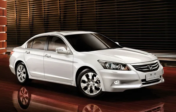 White, honda, Honda, accord, chord, honda accord, Honda accord