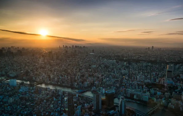 Sunset, the city, river, dawn, view, Tokyo, Tokyo