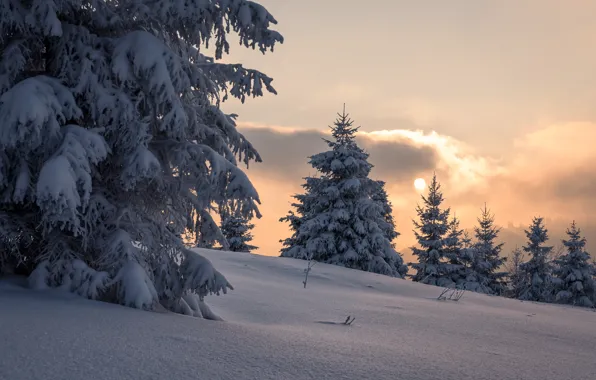 Picture winter, snow, trees, landscape, sunset, mountains, nature, ate