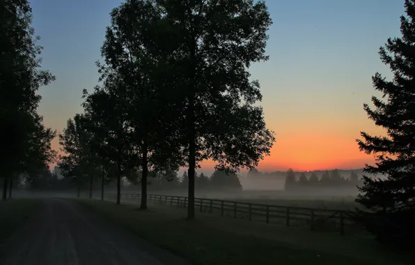 Road, landscape, night
