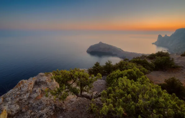 Sea, landscape, nature, tree, rocks, shore, the evening, Crimea