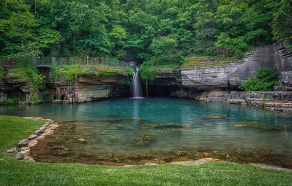 Forest, trees, bridge, nature, waterfall, pond