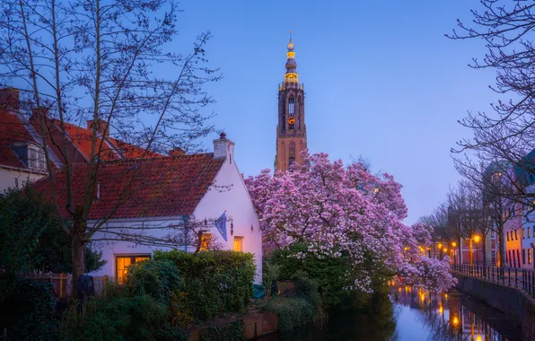 Trees, river, tower, home, channel, Netherlands, Netherlands, Amersfoort