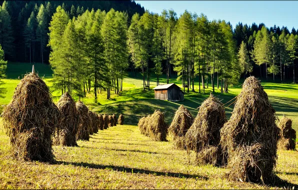 Picture field, forest, the sky, house, slope, meadow, hay, MOP