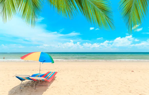 Sand, sea, wave, beach, summer, the sky, palm trees, shore