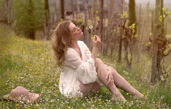 Summer, grass, girl, dandelion, chamomile, legs