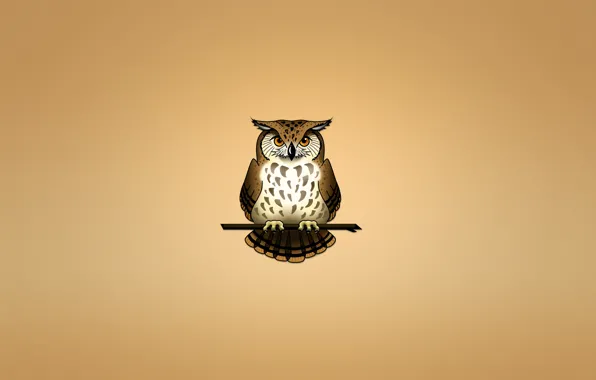 Picture owl, bird, branch, light background, owl