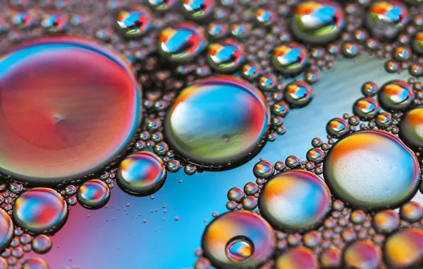 Picture bubbles, color, liquid, the air, the volume