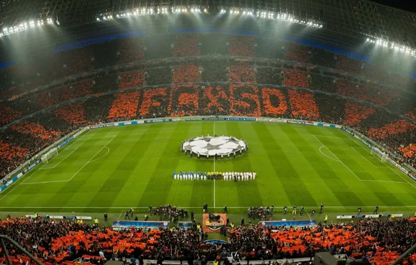 Picture Field, Orange, Football, Match, Miner, Chelsea, Champions League, Donbass Arena