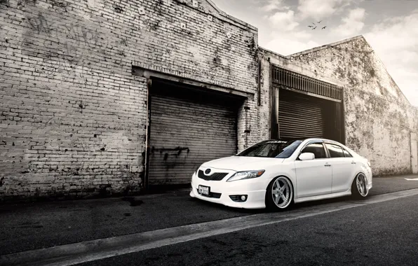 Tuning, white, white, toyota, Toyota, camry, Camry, stance