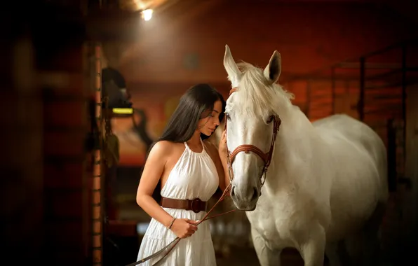 Girl, mood, horse, horse, dress, closed eyes, stable, Tamara