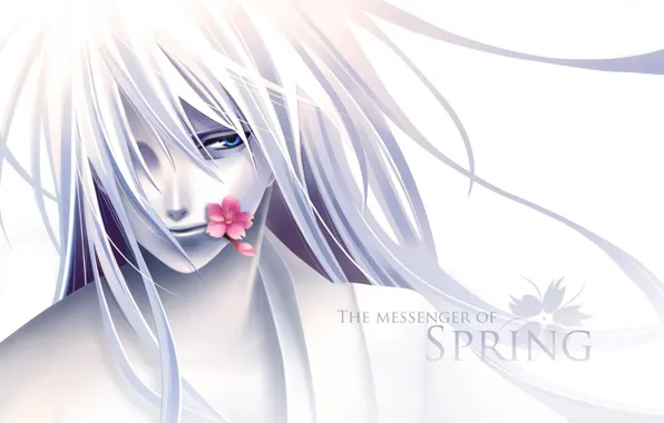 Picture flower, anime, guy, the messenger of spring