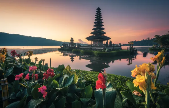 Picture water, flowers, Bali, temple, Kanna
