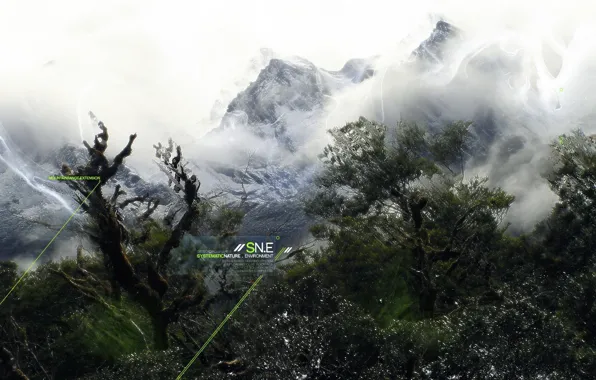 Picture snow, mountains, Trees