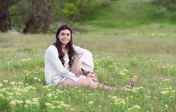 Picture grass, girl, flowers, spring, meadow