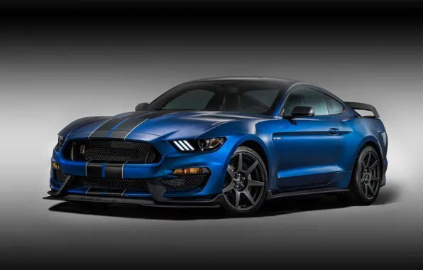 Picture background, Mustang, Ford, Shelby, Ford, Mustang, the front, Muscle car