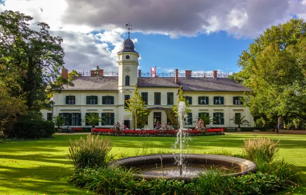 Trees, flowers, design, castle, lawn, Germany, fountain, the bushes