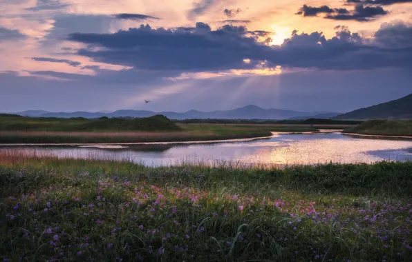 Picture summer, clouds, sunset, river, the evening, Russia, Primorsky Krai
