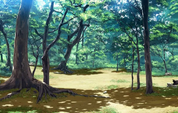 Forest, leaves, trees, landscape, nature, branch, anime, art