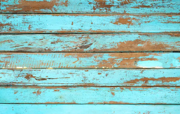 Picture background, tree, Board, vintage, wood, texture, blue, background