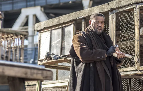 The film, Movie, Film, Laurence Fishburne, Lawrence Fishbourne, 2017, John Wick 2, John Wick: Chapter …