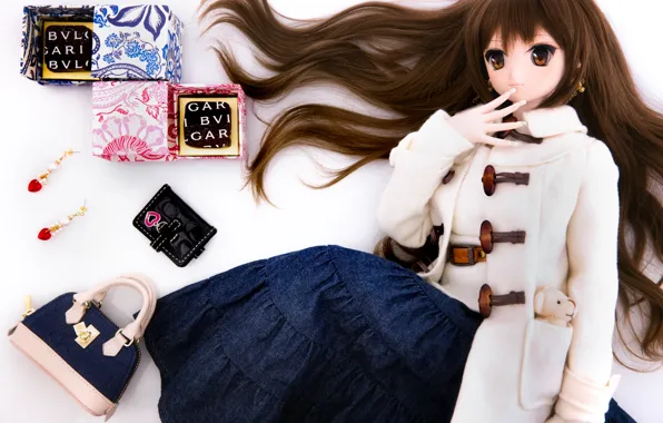 Hair, doll, bag, accessories
