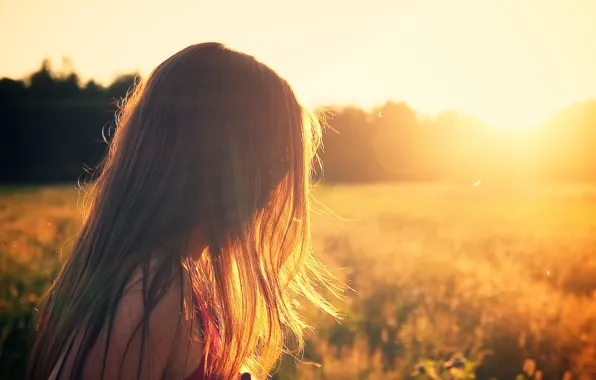 Field, sunset, Girl