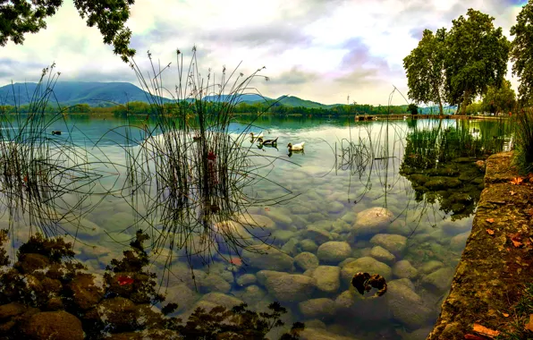 Water, landscape, lake, Priroda