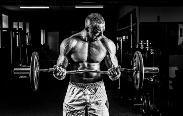 Pose, muscle, muscle, rod, athlete, biceps, gym, bodybuilder