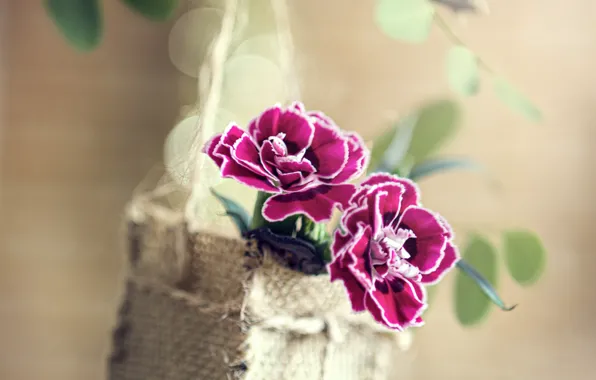 Picture leaves, flowers, branch, basket, bokeh, clove