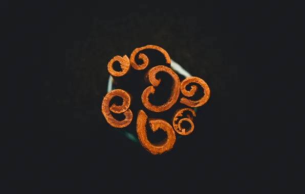 Food, cinnamon, Indian, spice