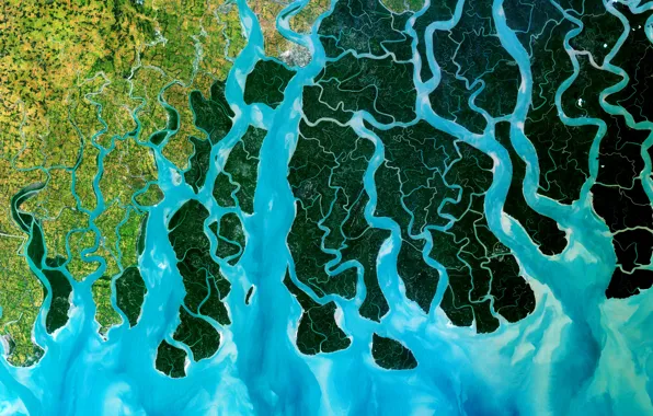 Photo, satellite, India, the Ganges Delta, Bangladesh