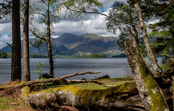 Clouds, light, trees, mountains, branches, river, shore, foliage