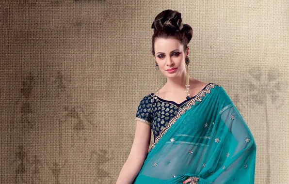 Decoration, brunette, woman, Indian, Bollywood, saree, indian brunette