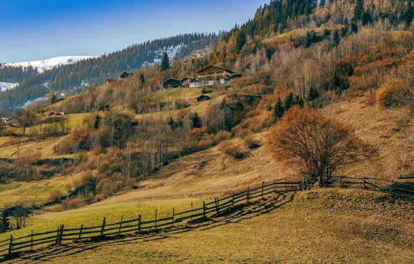 Field, The fence, House, Slope