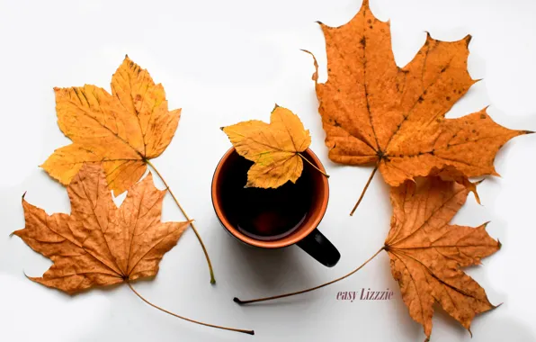 Autumn, tea, leaf, autmn, tree leaf, cup of tea