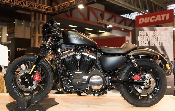Picture design, motorcycle, exhibition, Harley Davidson