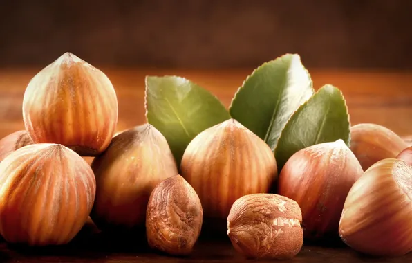 Nuts, leaves, hazelnut walnut