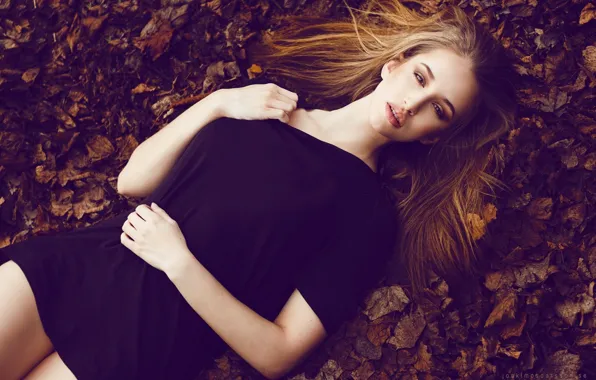 Autumn, leaves, girl, lies, beautiful, redhead, the view from the top, Isabelle