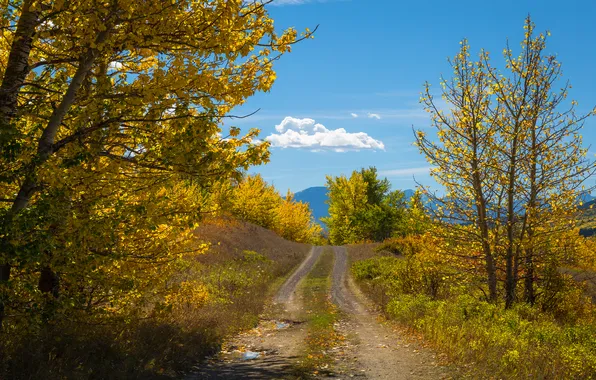 Road, autumn, forest, clouds, trees, branches, blue, hills