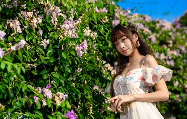 Look, the sun, flowers, pose, model, portrait, makeup, dress