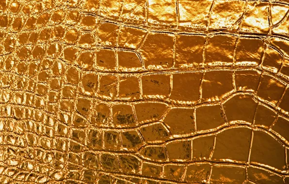Lights, gold, pattern, figure, Shine, texture, leather, texture