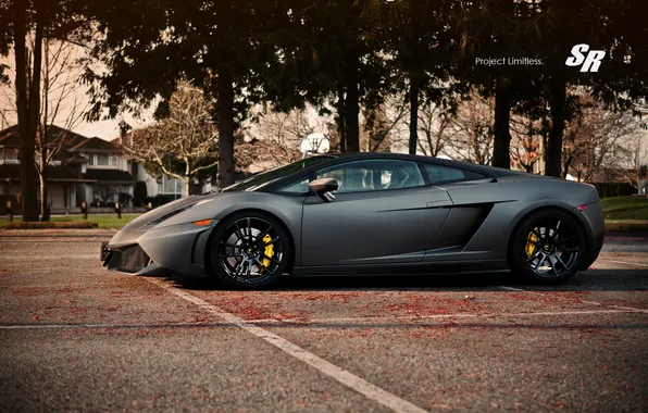 Picture Lamborghini, profile, Gallardo, 2012, SR Auto Group, Limitless