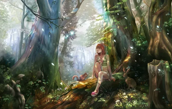 Picture forest, summer, light, hare, protein, Girl, log, moth