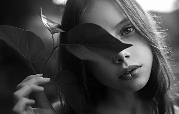 Picture Leaf, Nature, Girl, Photo, Black And White, Catherine Jasnogorodska