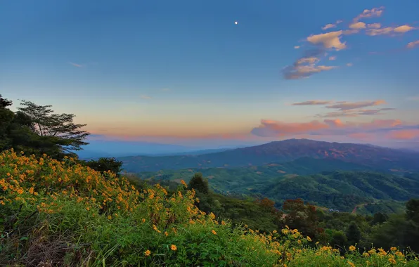 Grass, clouds, flowers, mountains