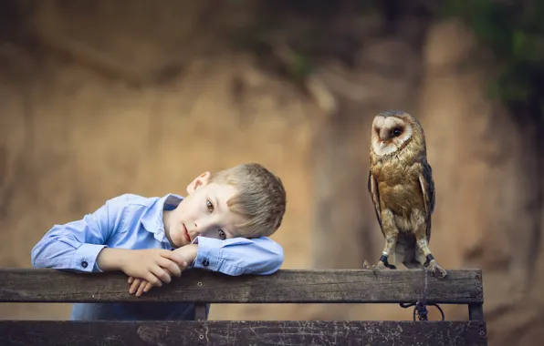 Sadness, look, bench, nature, face, pose, mood, owl