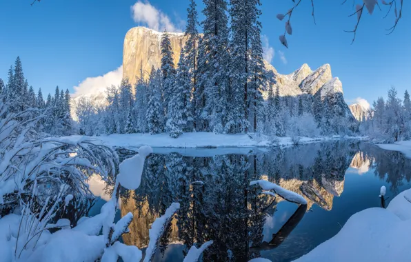 Winter, forest, snow, trees, mountains, reflection, river, CA