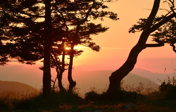 The sky, trees, sunset, mountains, silhouette, glow
